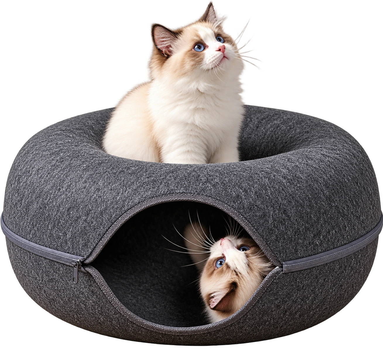 Toca Miau